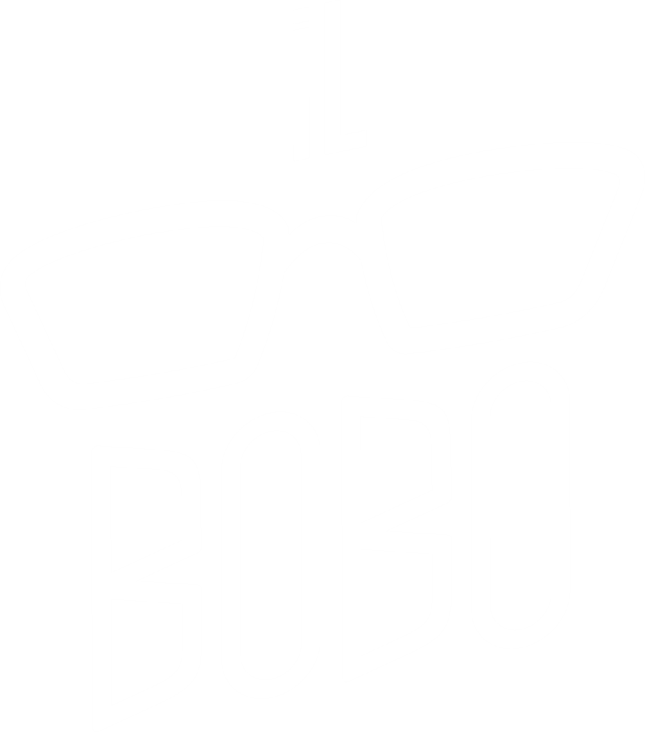 Associazione Il Bobo